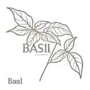 Basil name tattoo tattoo design idea