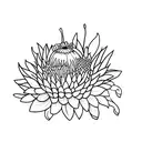 bee and protea tattoo design idea