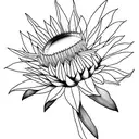 bee and protea tattoo design idea