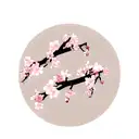 cherry blossom branch  tattoo design idea