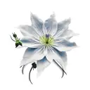 Clematis tattoo design idea