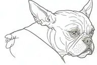 Outline of boston terrier ears with Jay written in cursive under it  tattoo design idea