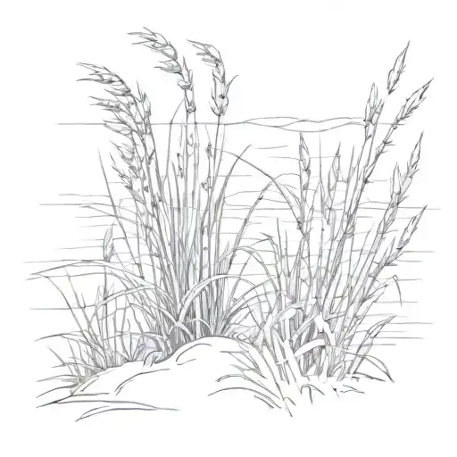 tuft of coastal dune grass  tattoo design idea