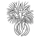 palm and cedar tree connected at roots  tattoo design idea