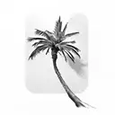 palm tree and cedar tree linked  tattoo design idea