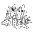 Tigerlily, Daisy, daffodil and Snowdrop tattoo design idea