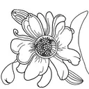 Tigerlily, Daisy, daffodil and Snowdrop tattoo design idea