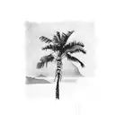 Palm Tree tattoo design idea