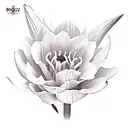 boquete of flowers which include 1 gladiolus, I water lily, 1 rose, 1 lily, 1 daisy and the name Gomez  tattoo design idea