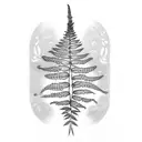 Kiwi Fern with Koru  tattoo design idea