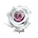 rose with a name as the stem tattoo design idea