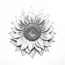 sunflower with fibonacci sequence pronounced  tattoo design idea