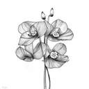 Cyclamen tattoo design idea
