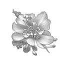 2 larkspur flower with the stems turning into the names Andrew and William tattoo design idea