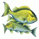 school of yellow snapper fish, all moving in the same direction, small space between the fish.  tattoo design idea