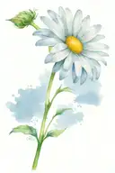 Daisy with the stem spelling Always and Forever  tattoo design idea