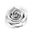 single line rose tattoo design idea