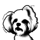Bichon Frisé tattoo design idea
