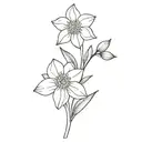 1 narcissus and 1 hawthorn flower  tattoo design idea