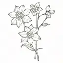 1 narcissus and 1 hawthorn flower  tattoo design idea