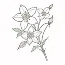 1 narcissus and 1 hawthorn flower  tattoo design idea