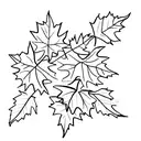 Maple Leaf tattoo design idea