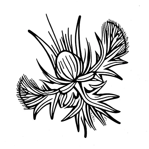 thistle tattoo design idea