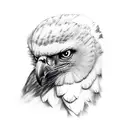 harpy eagle tattoo design idea