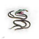 Snake Dagger tattoo design idea