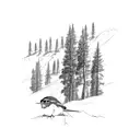 A minimalist sketch of a hiking trail winding through a forest landscape, with an american robin resting on a tree branch tattoo design idea