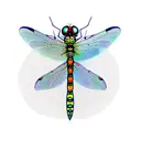 Dragonfly tattoo design idea