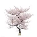 mulan cherry blossom tattoo design idea