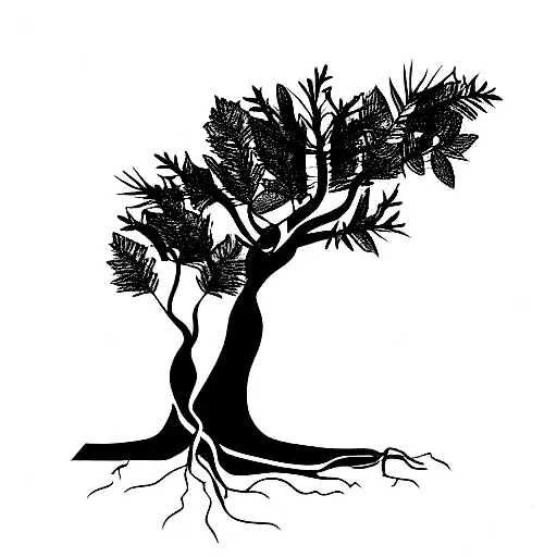 Olive tree with long roots tattoo design idea