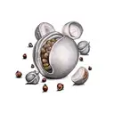 hazelnut tattoo design idea