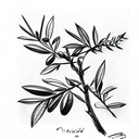 Olive Branch tattoo design idea