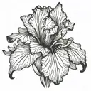bearded iris rhohan tattoo design idea
