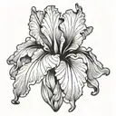bearded iris rhohan tattoo design idea