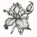 bearded iris sky tattoo design idea