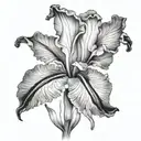 bearded iris sky tattoo design idea