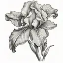 bearded iris sky tattoo design idea
