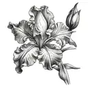 bearded iris sky tattoo design idea