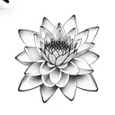 minimalistic waterlily with small details fineline tattoo design idea