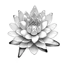 minimalistic waterlily with small details fineline tattoo design idea