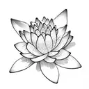 minimalistic waterlily with small details fineline tattoo design idea