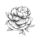 Peonies tattoo design idea