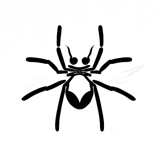 Spider tattoo design idea