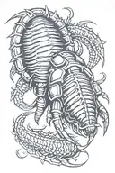 trilobites tattoo design idea