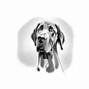 Great Dane, Doberman, Cane Corso, and Rottweiler. All black. Tattoo. Make the dogs look serious. tattoo design idea