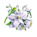 83, lily of the valley, daffodil, sweet pea honeysuckle  tattoo design idea