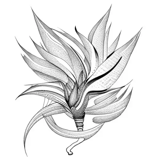 Bird of Paradise tattoo design idea